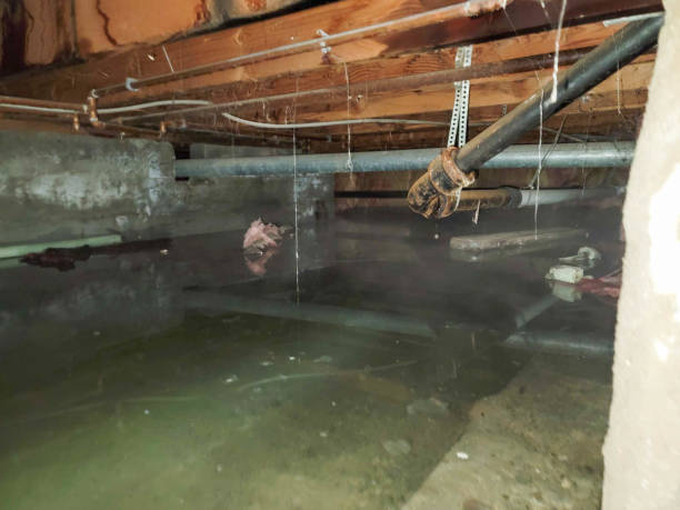 Reliable Hillsboro, TX Water damage restoration Solutions