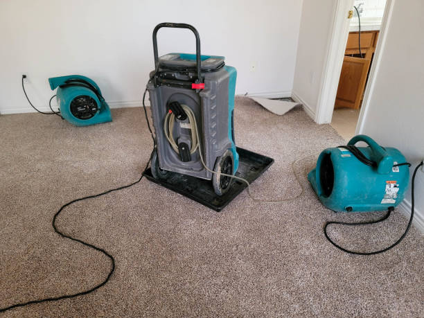 Best Fire Damage Restoration  in Hillsboro, TX
