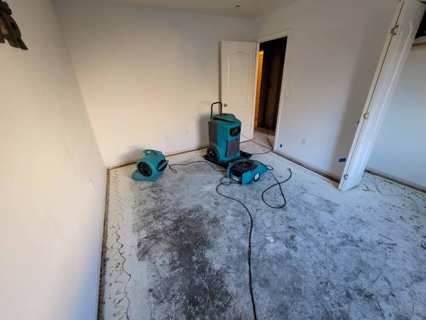 Best Water damage cleanup near me  in Hillsboro, TX